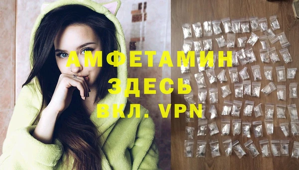 твердый Вяземский