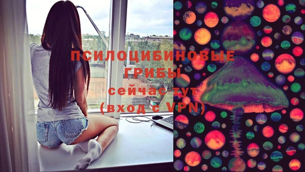 твердый Вяземский