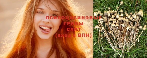 прущая мука Вязьма